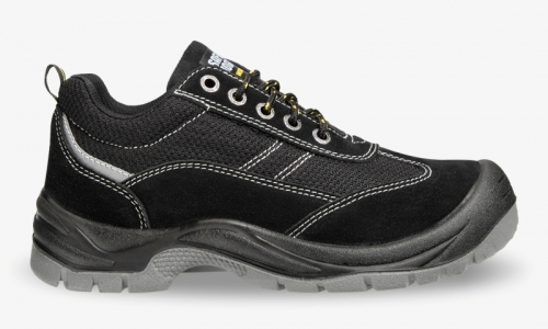GOBI S1 P SRC